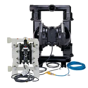 pe-series-small-group (1)
